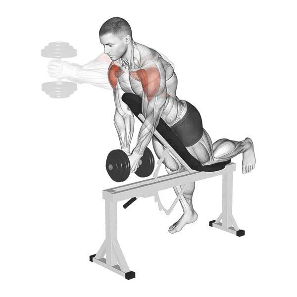 Decline Dumbbell Front Raise — ejercicio de Hombros, nivel Intermedio