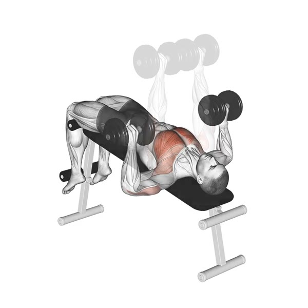 Decline Dumbbell Press — ejercicio de Tríceps, nivel Intermedio