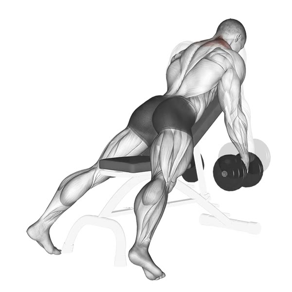 Decline Dumbbell Shrugs — ejercicio de Hombros, nivel Intermedio