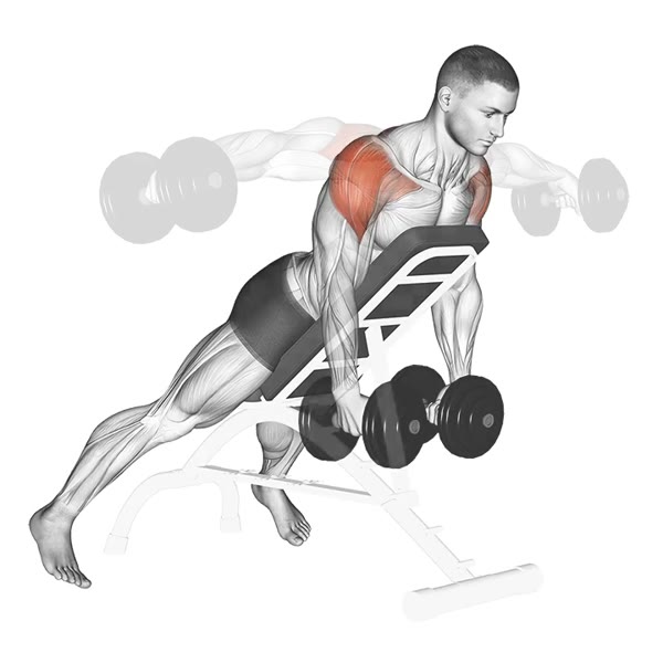 Decline Lateral Dumbbell Raises — ejercicio de General, nivel Intermedio