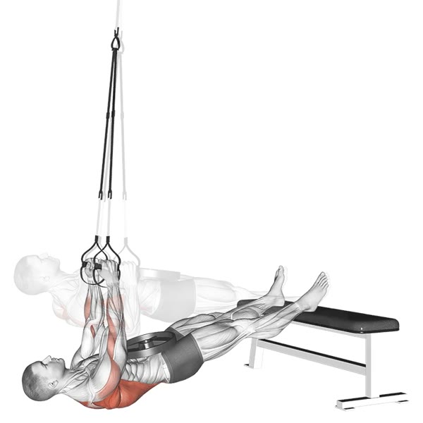 Declined Free Rowing with Ropes — ejercicio de Espalda, nivel Intermedio
