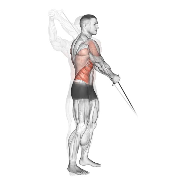 Diagonal Extension on Low Pulley — ejercicio de Espalda, nivel Intermedio