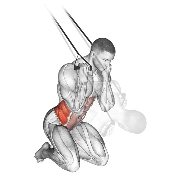 Diagonal kneeling crunch with bands — ejercicio de Abdomen, nivel Intermedio