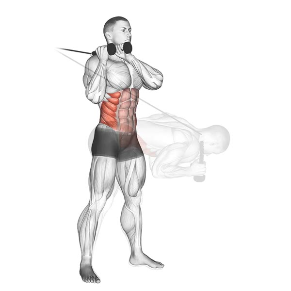 Diagonal Pulley Crunch — ejercicio de Abdomen, nivel Avanzado