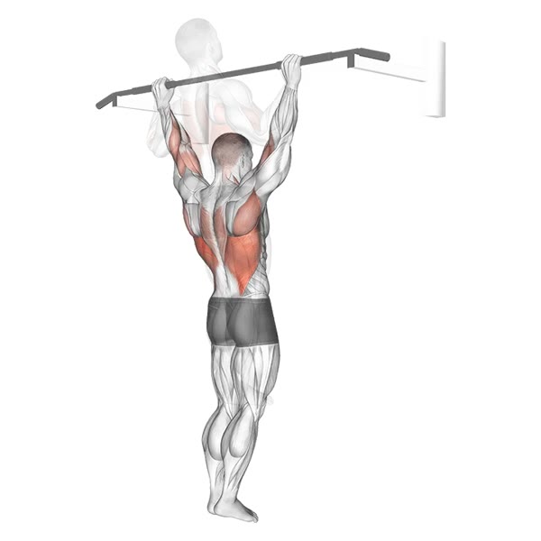 Dominated — ejercicio de General, nivel Intermedio