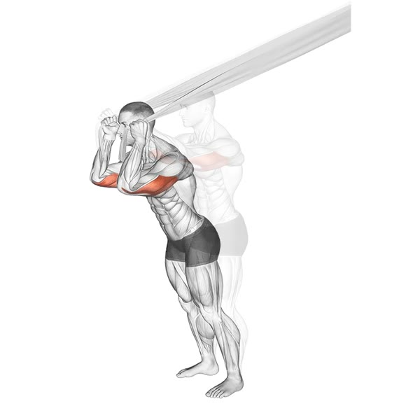 Drop extension with bands — ejercicio de General, nivel Intermedio