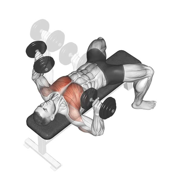 Dumbbell Bench Press — ejercicio de Pecho, nivel Principiante
