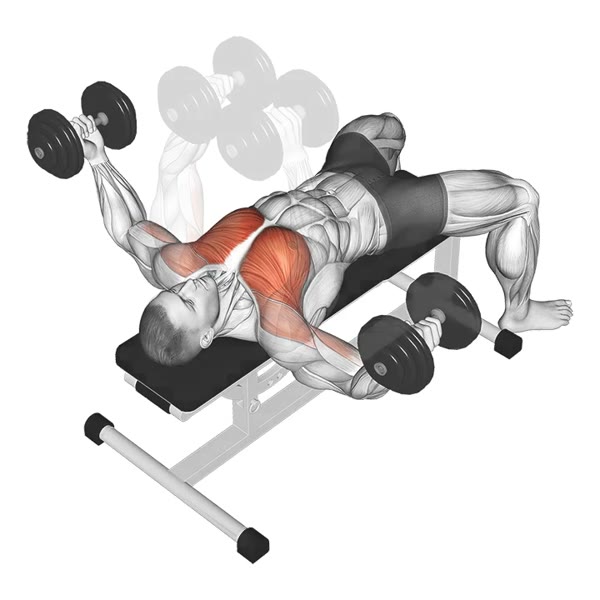 Dumbbell Flyes — ejercicio de Pecho, nivel Intermedio