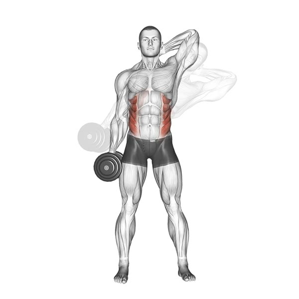 Dumbbell Lateral Crunch — ejercicio de Abdomen, nivel Intermedio