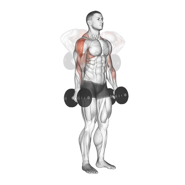 Dumbbell Lateral Shrugs — ejercicio de Hombros, nivel Intermedio