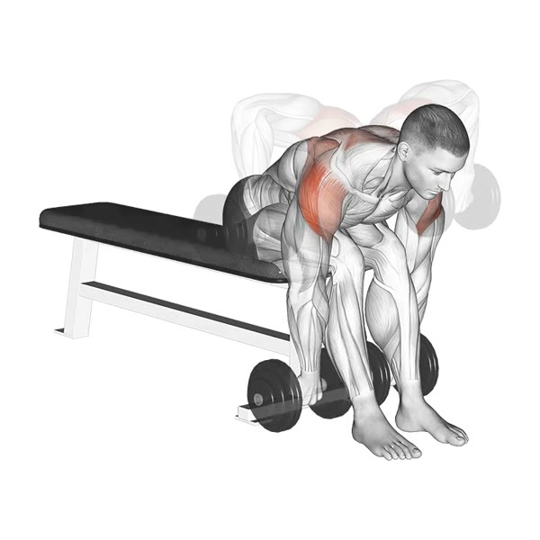 Dumbbell Rear Delt Row — ejercicio de Hombros, nivel Intermedio