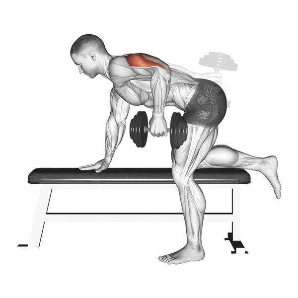 Dumbbell Rear Kicks — ejercicio de Glúteos, nivel Intermedio