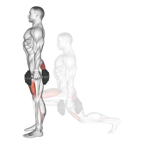 Dumbbell Reverse Lunge — ejercicio de Pierna, nivel Intermedio