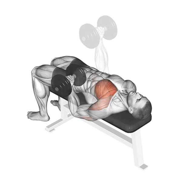Dumbbell Supinated Press — ejercicio de Pecho, nivel Intermedio