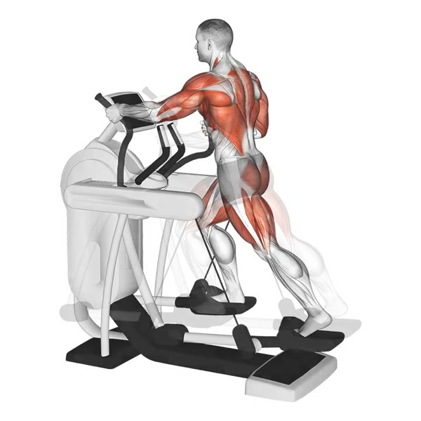 Elliptical Machine — ejercicio de General, nivel Intermedio