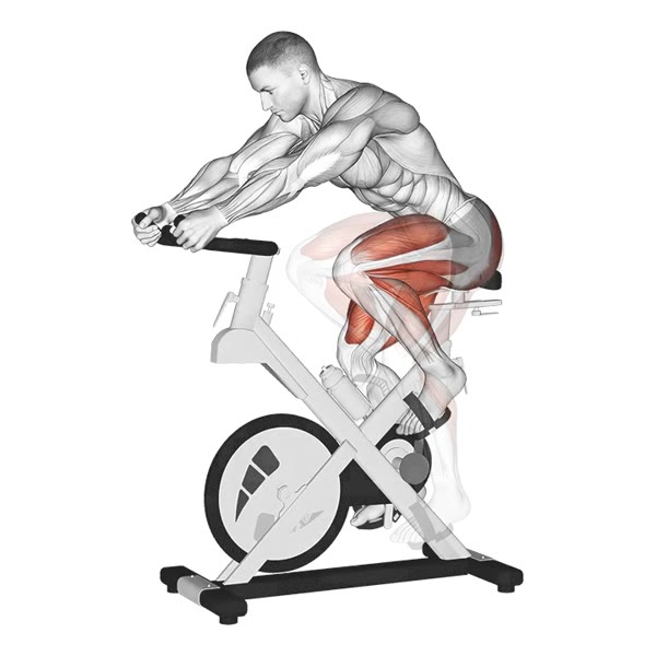 Exercise Bike — ejercicio de General, nivel Intermedio