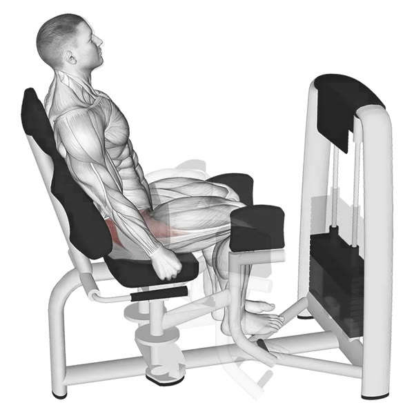 External Adductor Machine — ejercicio de Glúteos, nivel Intermedio