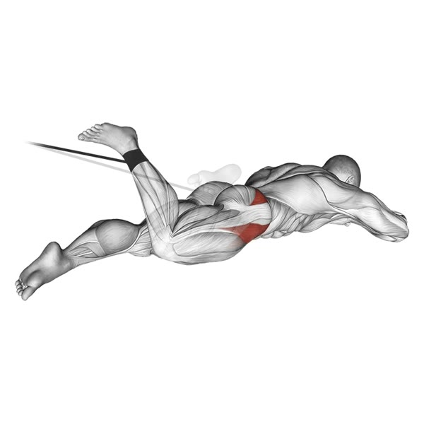 External Adductor Rotation with Band — ejercicio de Glúteos, nivel Intermedio