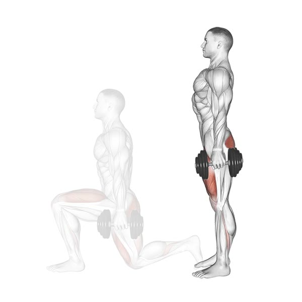 Forward Lunge with Dumbbells — ejercicio de Pierna, nivel Intermedio