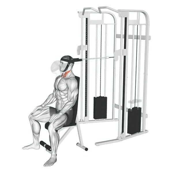 Front Flexion on Pulley — ejercicio de General, nivel Intermedio