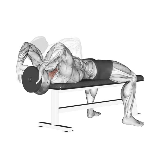 Front Flexion with Disc — ejercicio de General, nivel Intermedio