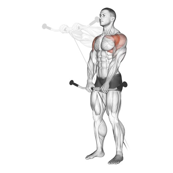 Front Pulley Lift — ejercicio de General, nivel Intermedio