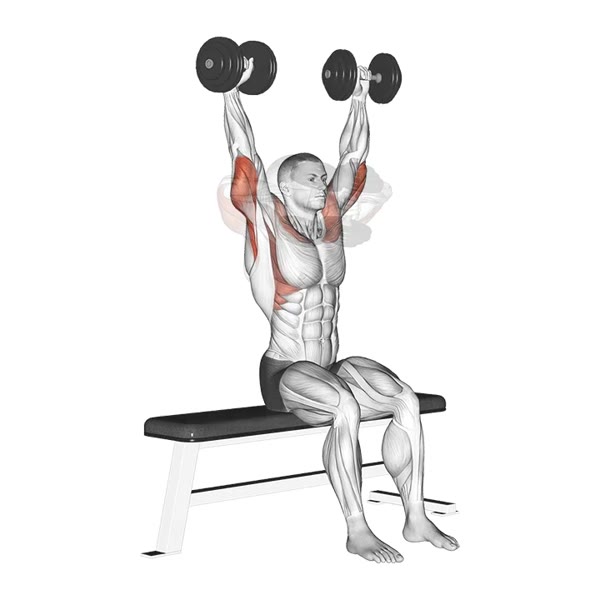 Front to Back Dumbbell Extension — ejercicio de General, nivel Intermedio