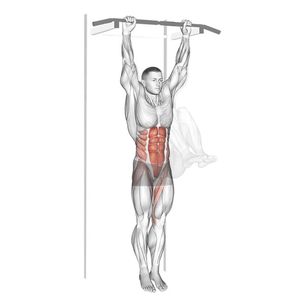 Hanging Leg Raises — ejercicio de Abdomen, nivel Intermedio