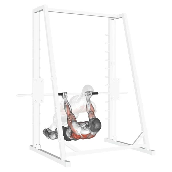 Hanging Supination Row — ejercicio de Espalda, nivel Intermedio