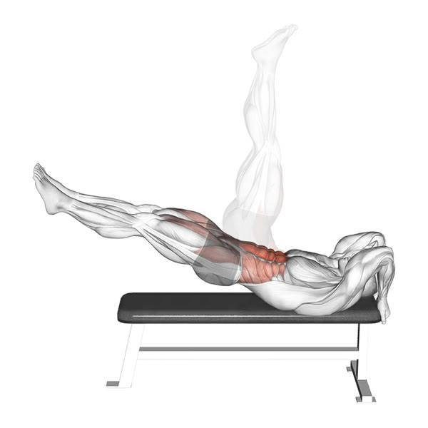 Hip Raise with Legs Straight v2 — ejercicio de Glúteos, nivel Intermedio