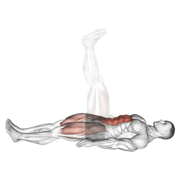 Hip raise with legs straight — ejercicio de Glúteos, nivel Intermedio