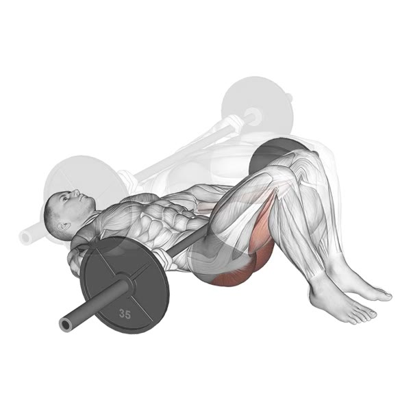 Hip Thrust with Bar — ejercicio de Pierna, nivel Intermedio