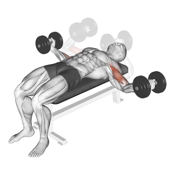Horizontal Dumbbell Curl — ejercicio de Bíceps, nivel Avanzado