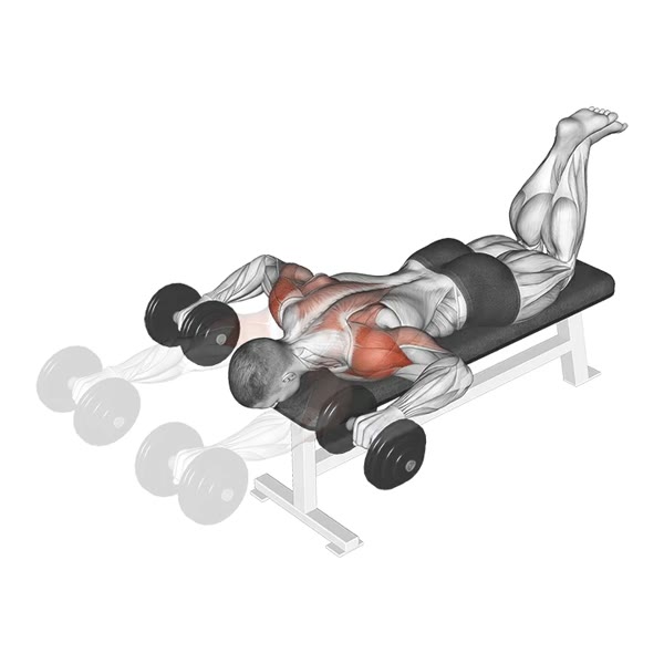 Horizontal Dumbbell Press — ejercicio de General, nivel Intermedio
