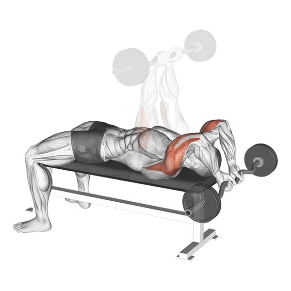 Horizontal Extension with Z Bar — ejercicio de General, nivel Intermedio