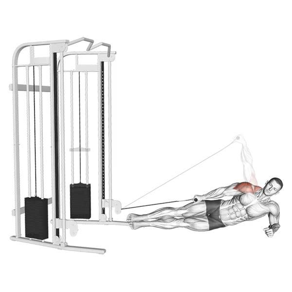 Horizontal Lateral Pulley Lift — ejercicio de General, nivel Intermedio