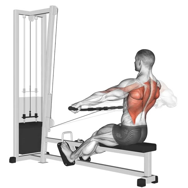 Horizontal Open Pronated Row on Pulley — ejercicio de Espalda, nivel Intermedio