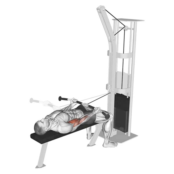 Horizontal Supination Curl with Pulley — ejercicio de Bíceps, nivel Intermedio