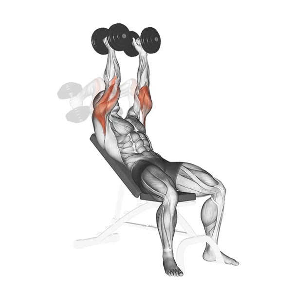 Incline Dumbbell Extensions — ejercicio de General, nivel Intermedio