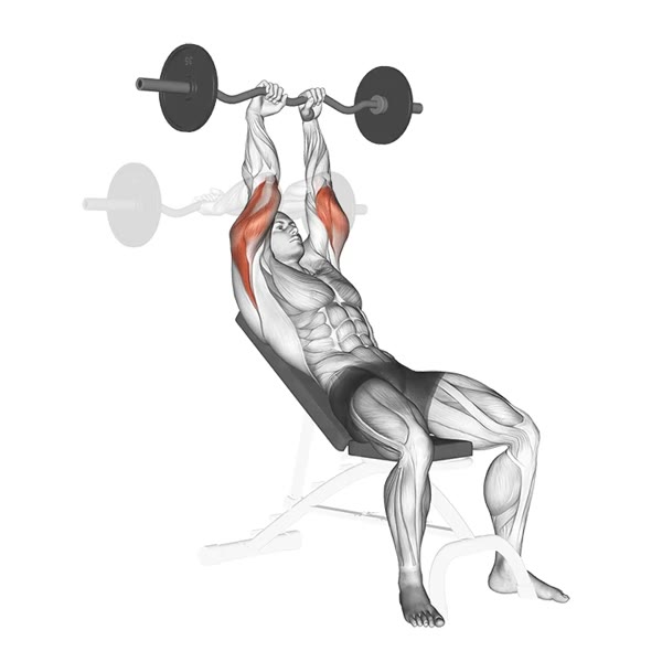 Incline Extension with Z Bar — ejercicio de Tríceps, nivel Intermedio