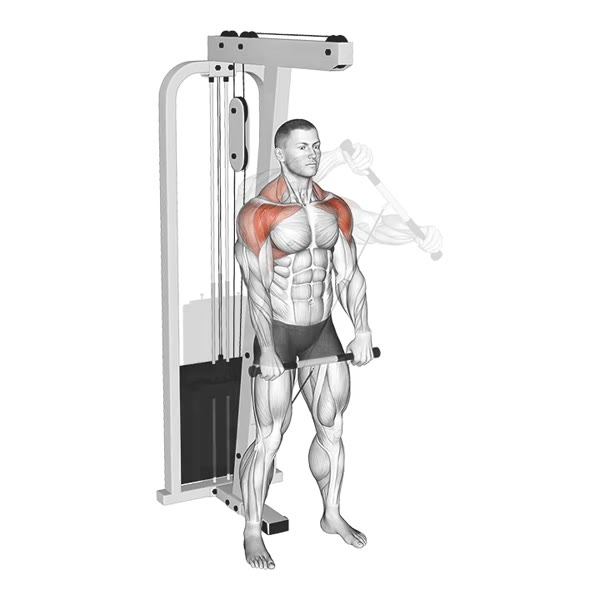 Incline Front Pulley Raise — ejercicio de Hombros, nivel Intermedio