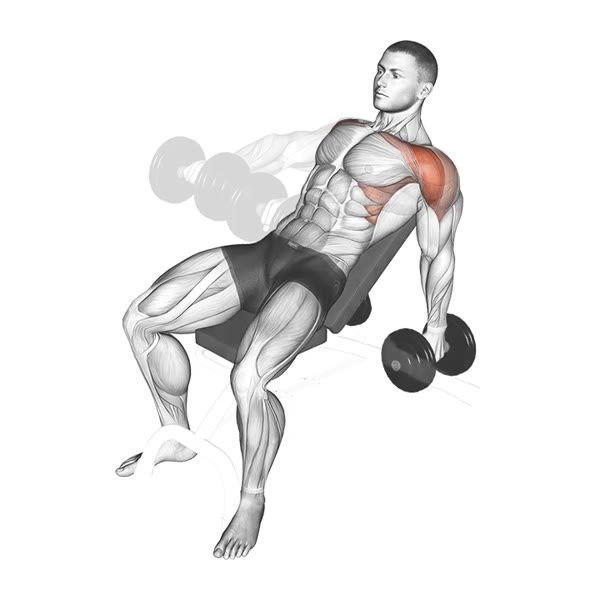 Incline Front Raises with Dumbbell Twist — ejercicio de Hombros, nivel Intermedio