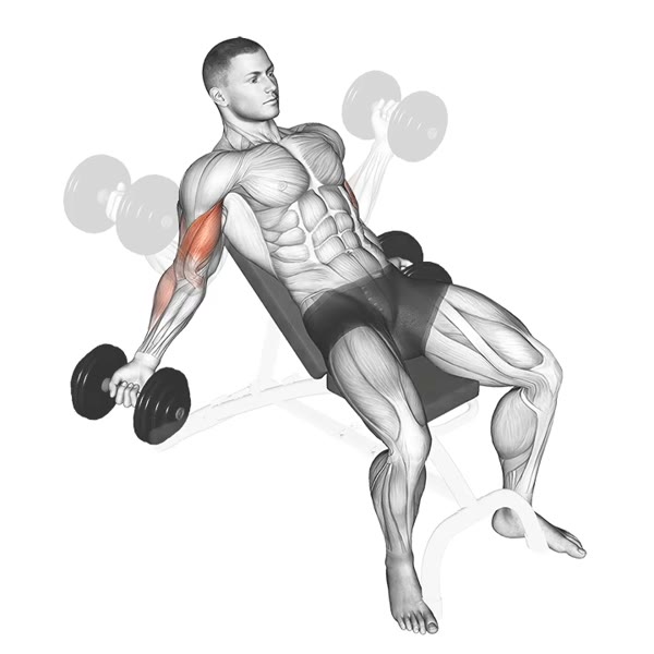 Incline Lateral Dumbbell Curl — ejercicio de Bíceps, nivel Avanzado