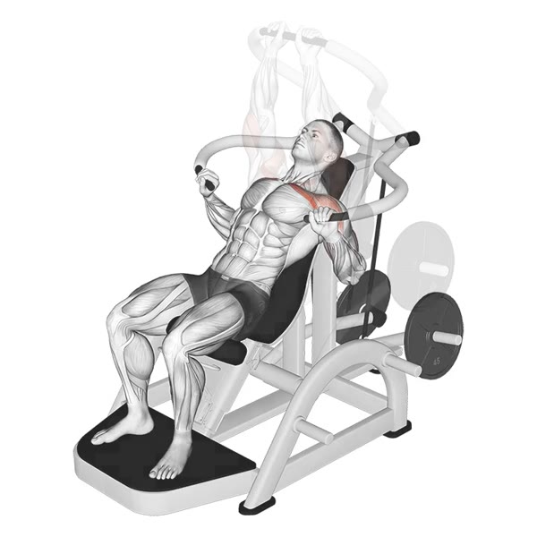 Incline Machine Press — ejercicio de General, nivel Intermedio