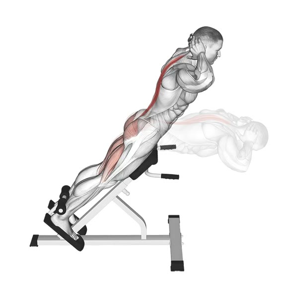 Inclined Hyperextensions — ejercicio de Espalda baja, nivel Intermedio