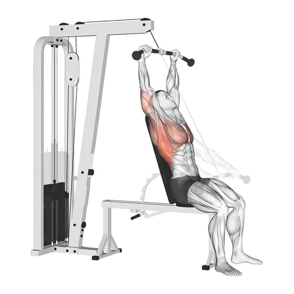 Inclined Serratus Muscles with Pulley Bar — ejercicio de Espalda, nivel Intermedio