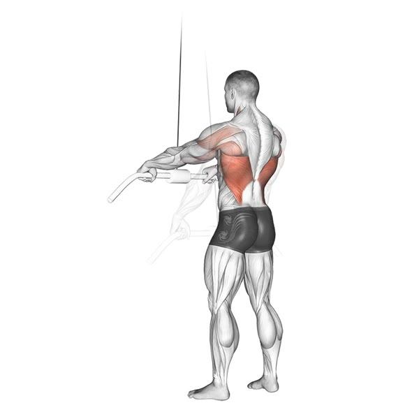 Inferior serratus muscles with pulley bar — ejercicio de Espalda, nivel Intermedio