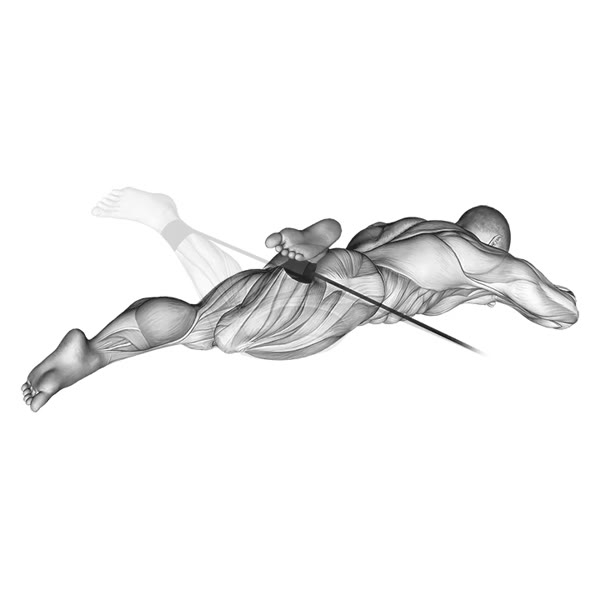 Internal Adductor Rotation with Band — ejercicio de Glúteos, nivel Intermedio