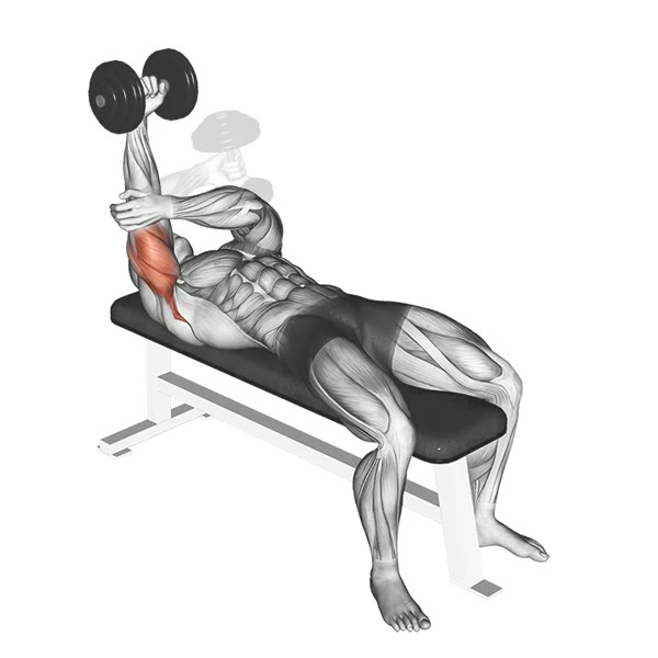 Internal Concentrated Horizontal Extension with Dumbbell — ejercicio de Tríceps, nivel Intermedio