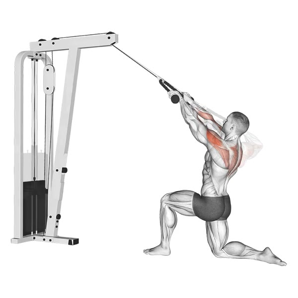 Inverted Pulley Row — ejercicio de Espalda, nivel Avanzado